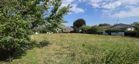 Liane Paukner Immobilien